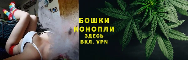 прущие крисы Магадан