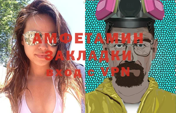 сатива Ачинск