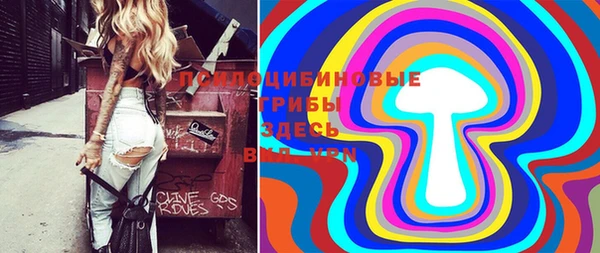 молекула духа Майский