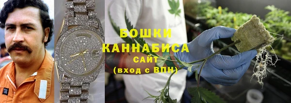 молекула духа Майский