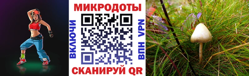 Галлюциногенные грибы ЛСД  Похвистнево 