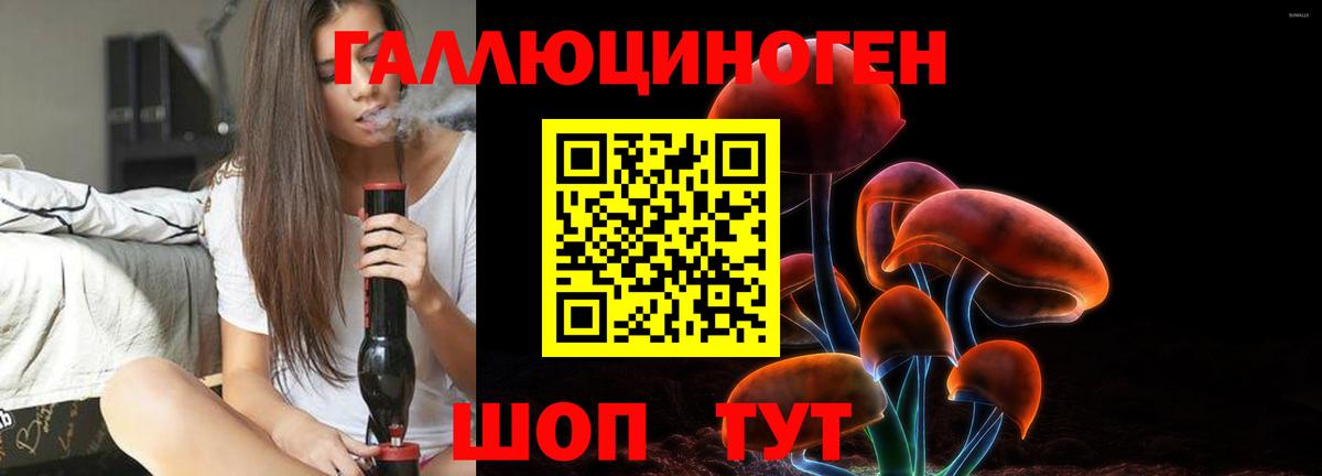 Галлюциногенные грибы Cubensis  Вход с VPN  Похвистнево 
